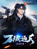 空姐背后有个二维码