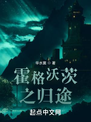 霍格沃茨之归途大结局