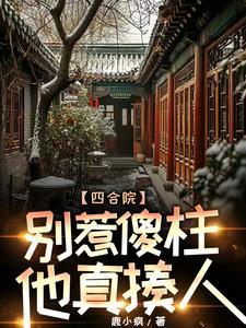 四合院傻柱的别样