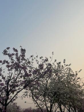 搬空家底去下乡好吗