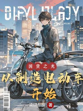 国产电动车现状