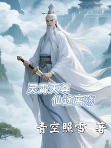 凌霄仙尊职业